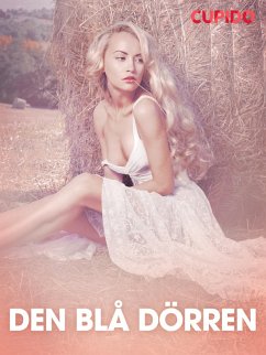 Cover Den blå dörren - erotiska noveller (eBook, ePUB)