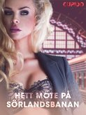 Hett möte på Sörlandsbanan - erotiska noveller (eBook, ePUB) Hett möte på Sörlandsbanan - erotiska noveller (eBook, ePUB)