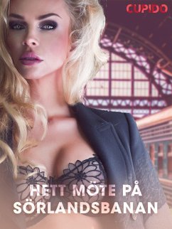 Hett möte på Sörlandsbanan - erotiska noveller (eBook, ePUB) - Cupido