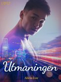 Utmaningen - erotisk novell (eBook, ePUB)