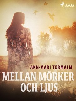 Cover Mellan mörker och ljus (eBook, ePUB)