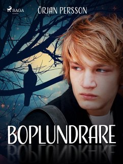 Cover Boplundrare (eBook, ePUB)