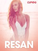 Resan - erotiska noveller (eBook, ePUB)