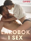 Lärobok i sex (eBook, ePUB)