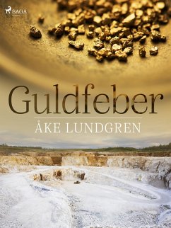 Cover Guldfeber (eBook, ePUB)