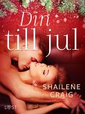 Din till jul - erotisk julnovell (eBook, ePUB)
