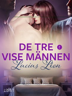 Cover De tre vise männen 2 - BDSM erotik (eBook, ePUB)