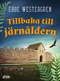 Tillbaka till järnåldern (eBook, ePUB)