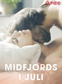 Midfjords i juli (eBook, ePUB)