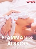 Flammande a¨lskog - erotiska noveller (eBook, ePUB)