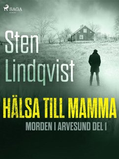 Hälsa till mamma (eBook, ePUB) - Lindqvist, Sten