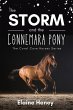 The Storm and the Connemara Pony - The... - Bild 1