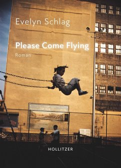 Please Come Flying - Schlag, Evelyn