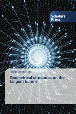 Geometrical structures on the tangent bundle - EL HENDI, HICHEM