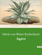 Agave - Bild 1