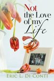Not the Love of my Life (eBook, ePUB)