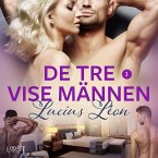 De tre vise männen 3 - BDSM erotik (MP3-Download)