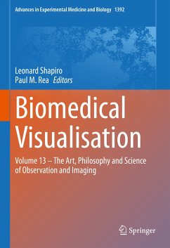 Biomedical Visualisation (eBook, PDF)