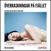 Överraskningar på fjället – och andra erotiska noveller från Cupido (MP3-Download) Överraskningar på fjället – och andra erotiska noveller från Cupido (MP3-Download)