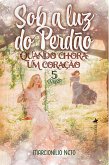 Sob a luz do perdão (eBook, ePUB)