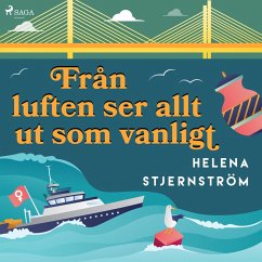 Cover Från luften ser allt ut som vanligt (MP3-Download)
