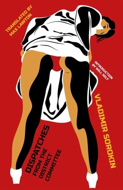 Cover Dispatches from the District Committee (eBook, ePUB)
