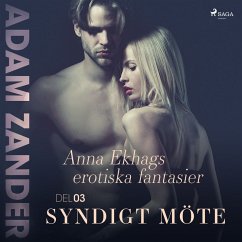 Syndigt möte – Anna Ekhags erotiska fantasier del 3 (MP3-Download) - Zander, Adam