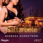 Nattarbete – erotisk novell (MP3-Download)