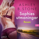 Sophies utmaningar 2: Resan - erotisk novell (MP3-Download)