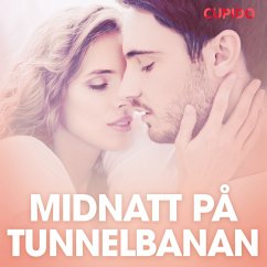 Cover Midnatt på tunnelbanan – erotiska noveller (MP3-Download)