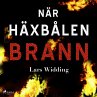 När häxbålen brann (MP3-Download) - Bild 1