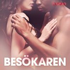 Besökaren – erotisk novell (MP3-Download)