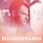 Bussresenären – erotisk novell (MP3-Download)