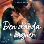 Den okända i vagnen - erotisk novell (MP3-Download)