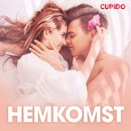 Hemkomst - erotiska noveller (MP3-Download)