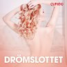 Drömslottet - erotiska noveller... - Bild 1