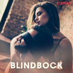 Blindbock - erotiska noveller (MP3-Download)