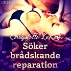 Söker brådskande reparation - erotisk novell (MP3-Download)