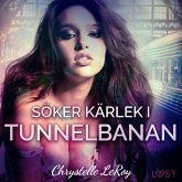 Söker kärlek i tunnelbanan - erotisk novell (MP3-Download)