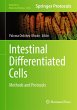 Intestinal Differentiated Cells - Bild 1