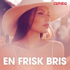 En frisk bris – erotisk novell (MP3-Download)