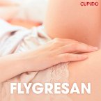Flygresan - erotiska noveller (MP3-Download)
