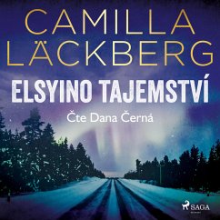 Cover Elsyino tajemství (MP3-Download)