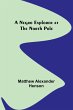 A Negro Explorer at the North Pole - Bild 1