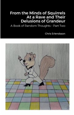 Cover From the Minds of Squirrels At a Rave and Their Delusions of Grandeur