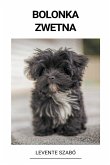 Bolonka Zwetna Bolonka Zwetna