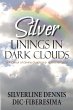 Silver Linings in Dark Clouds - Bild 1