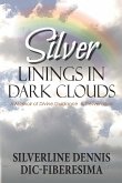 Silver Linings in Dark Clouds
