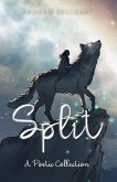 Split (eBook, ePUB) Split (eBook, ePUB)