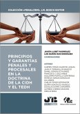 Principios y garantías penales y procesales en la doctrina de la CIDH y el TEDH (eBook, PDF)